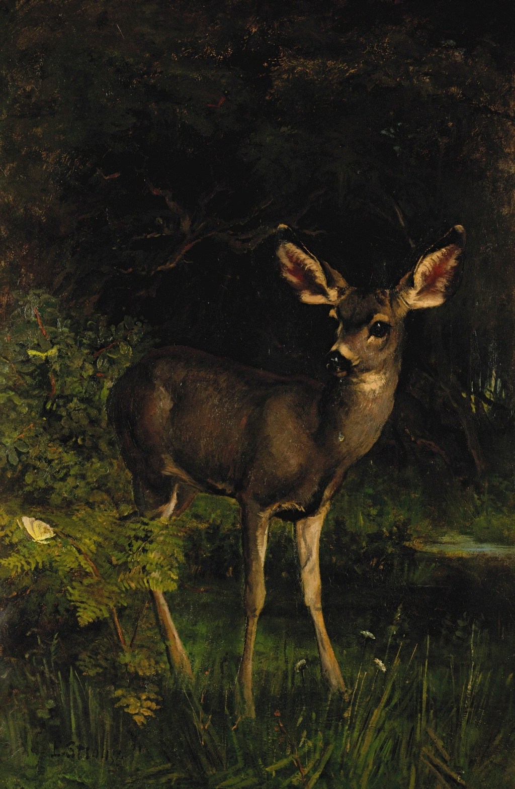 Nights Playing Hide-and-Seek